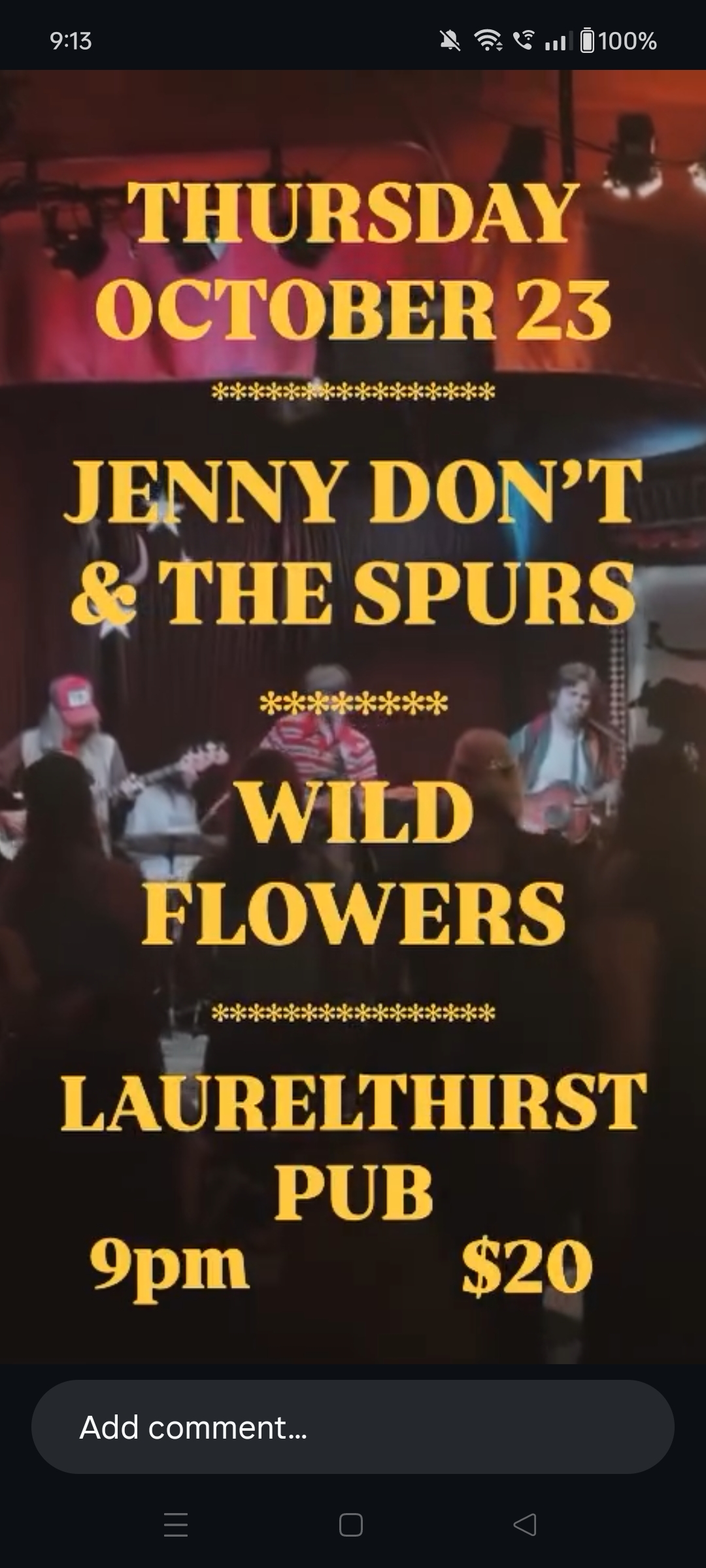 JennyDontAndTheSpurs2028-10-23LaurelthirstPublicHousePortlandOR (17).jpg